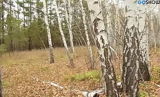 Outdoor Amateur Couple Fucks Till Cum Shots