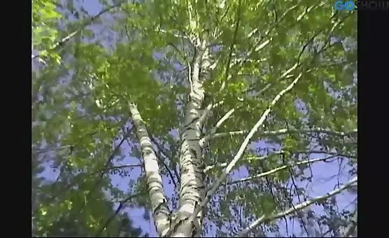 Outdoor Stroke Sessions